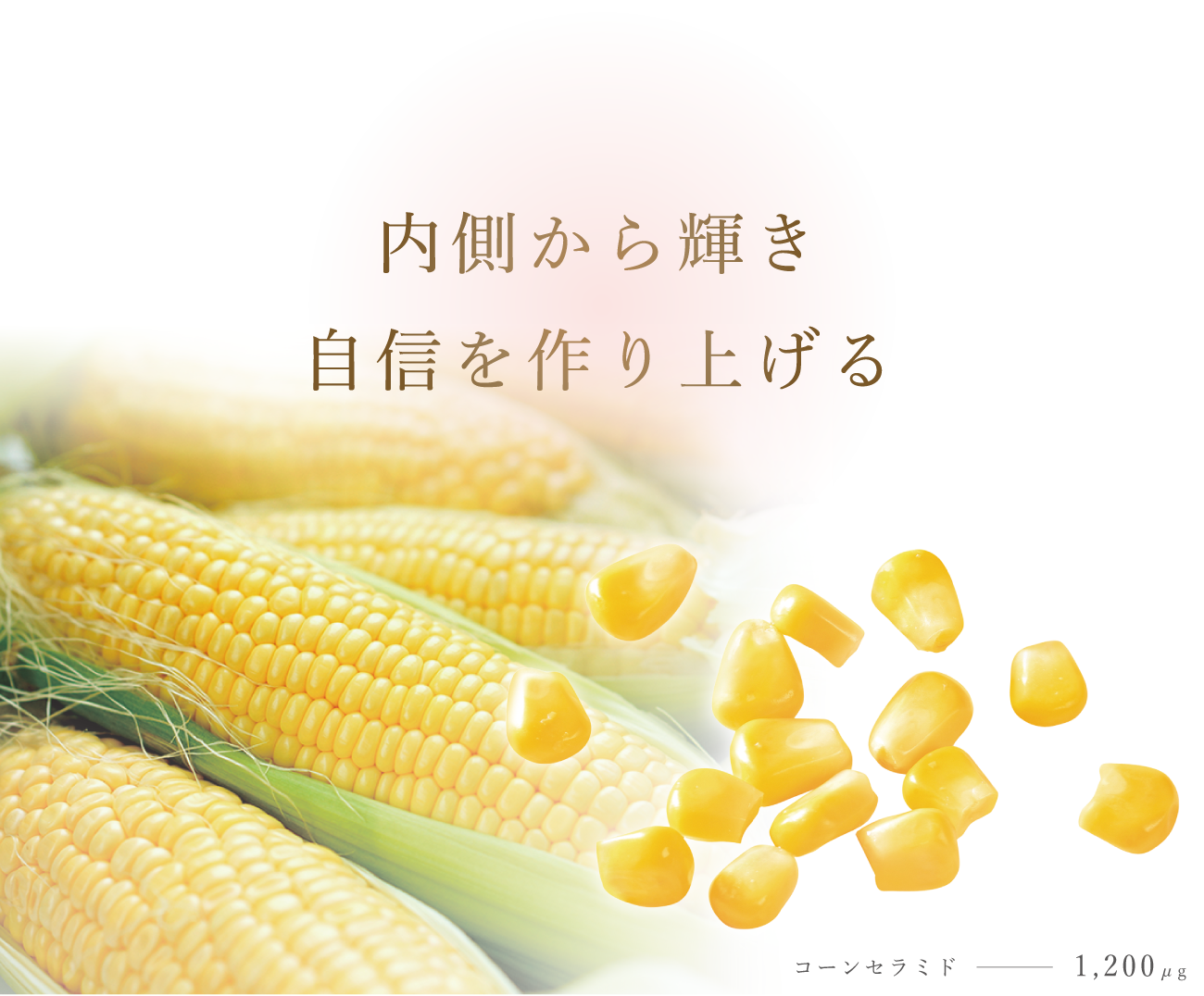 内側から輝き　自信を作り上げる